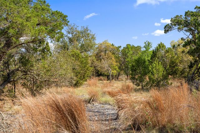 12130 Fitzhugh PL, Dripping Springs, TX 78620