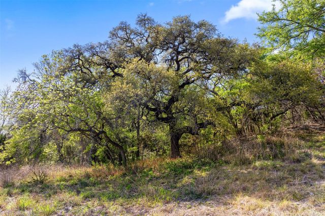 12130 Fitzhugh PL, Dripping Springs, TX 78620