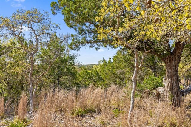 12130 Fitzhugh PL, Dripping Springs, TX 78620