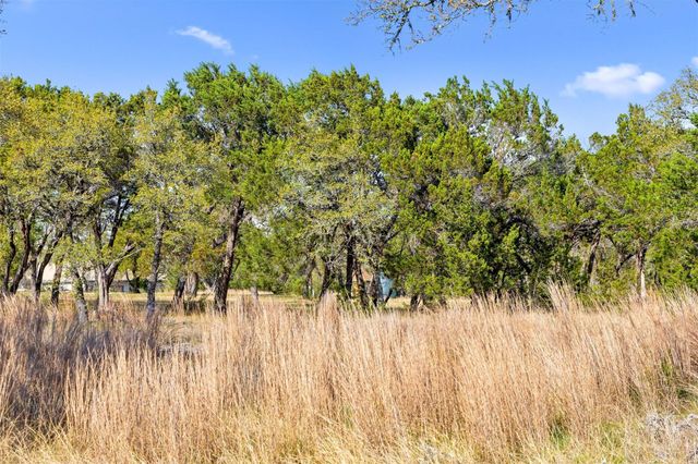 12130 Fitzhugh PL, Dripping Springs, TX 78620