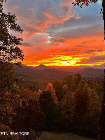 714 Shell Mountain Rd, Sevierville, TN 37876