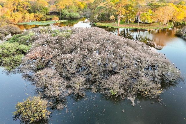 1737 NW Buttonbush Circle, Palm City, FL 34990