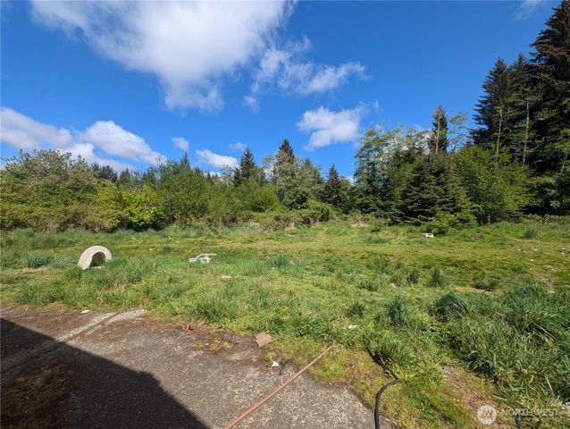 235 Delta Wing Drive, Forks, WA 98331
