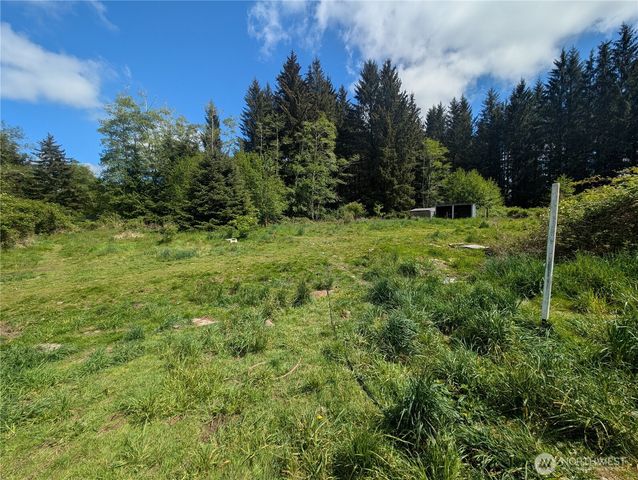 235 Delta Wing Drive, Forks, WA 98331