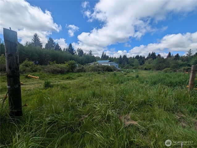 235 Delta Wing Drive, Forks, WA 98331