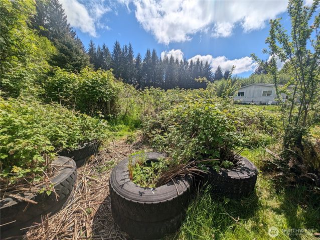 235 Delta Wing Drive, Forks, WA 98331