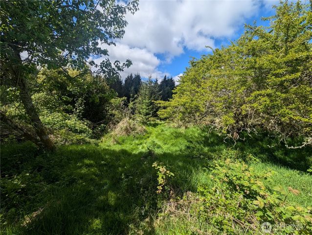 235 Delta Wing Drive, Forks, WA 98331