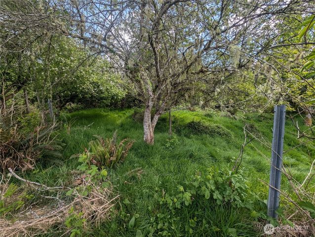 235 Delta Wing Drive, Forks, WA 98331