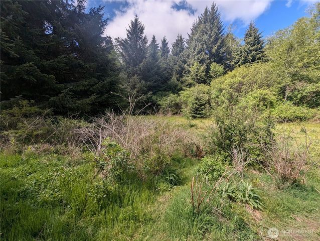 235 Delta Wing Drive, Forks, WA 98331