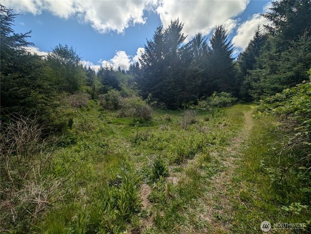 235 Delta Wing Drive, Forks, WA 98331