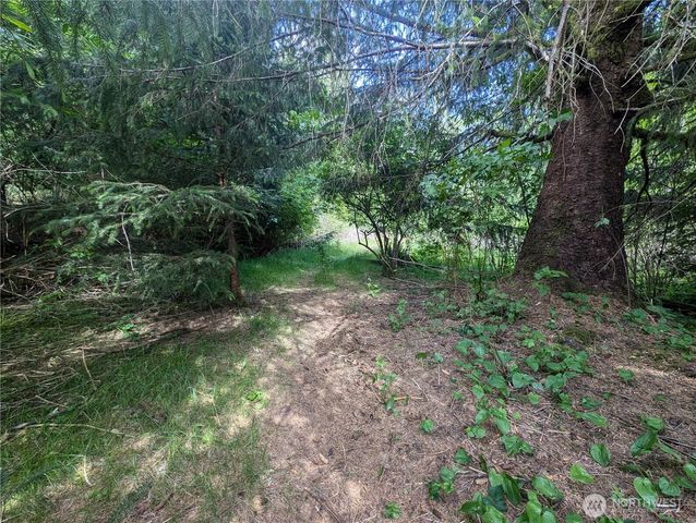 235 Delta Wing Drive, Forks, WA 98331