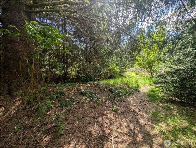 235 Delta Wing Drive, Forks, WA 98331