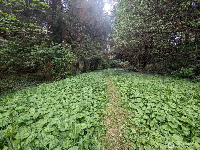 235 Delta Wing Drive, Forks, WA 98331