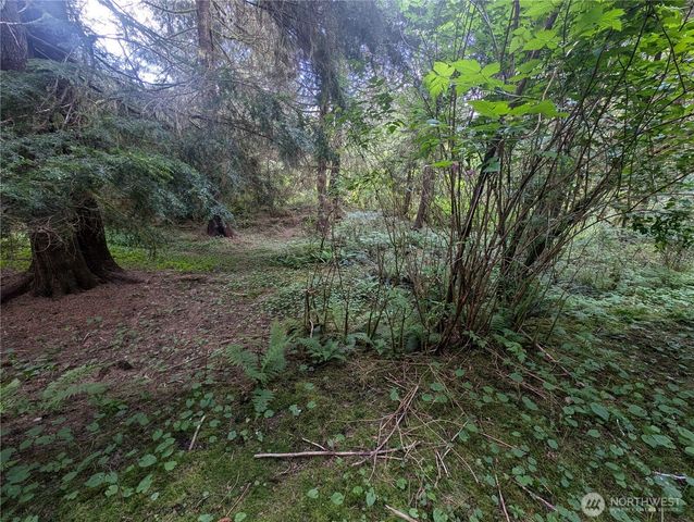 235 Delta Wing Drive, Forks, WA 98331