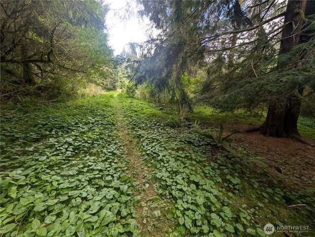 235 Delta Wing Drive, Forks, WA 98331