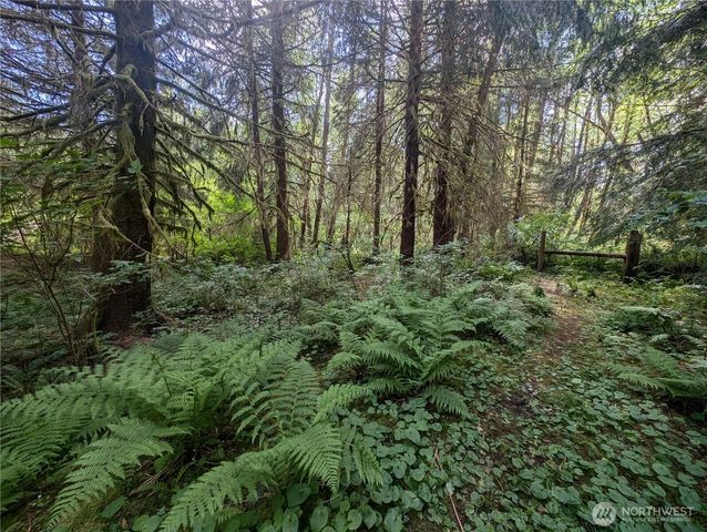 235 Delta Wing Drive, Forks, WA 98331