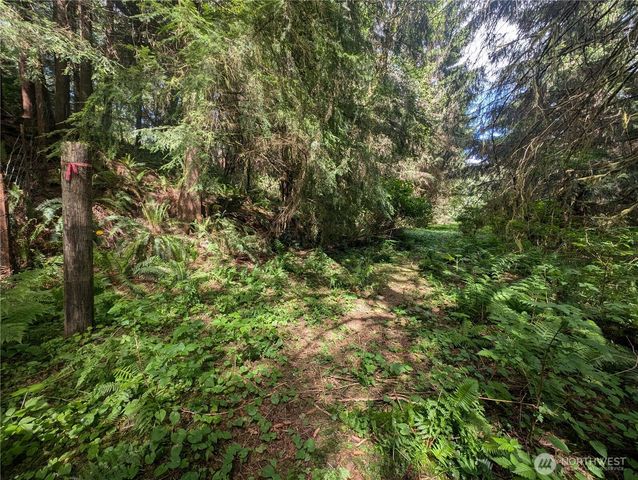 235 Delta Wing Drive, Forks, WA 98331