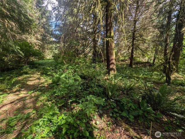 235 Delta Wing Drive, Forks, WA 98331