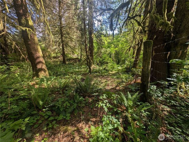 235 Delta Wing Drive, Forks, WA 98331