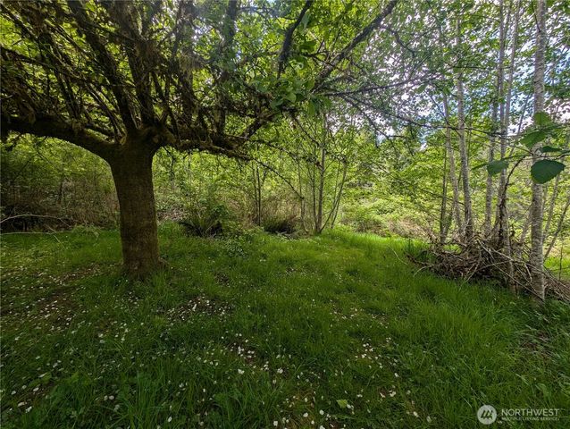 235 Delta Wing Drive, Forks, WA 98331