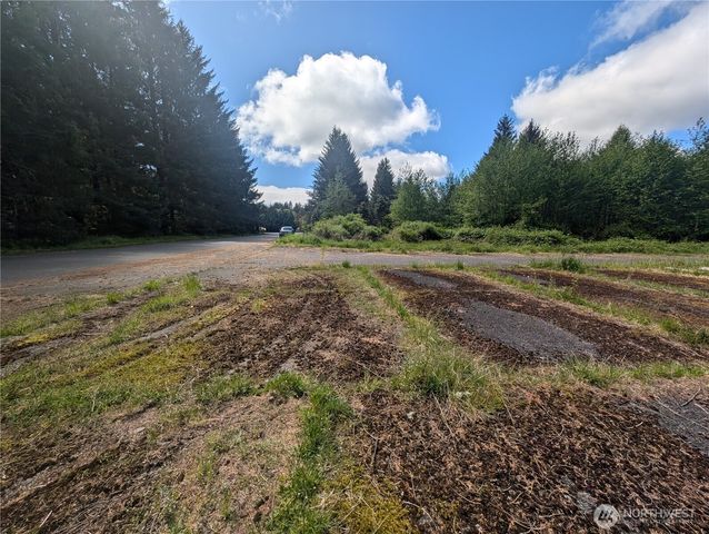 235 Delta Wing Drive, Forks, WA 98331