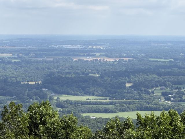 231 Point Dr, Belvidere, TN 37306