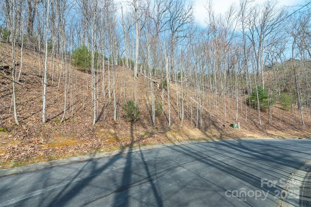 0 Shining Rock Path 12, Horse Shoe, NC 28742