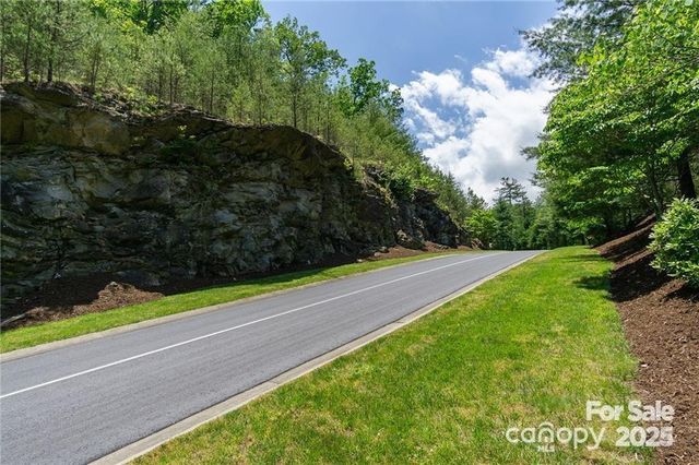 0 Shining Rock Path 12, Horse Shoe, NC 28742