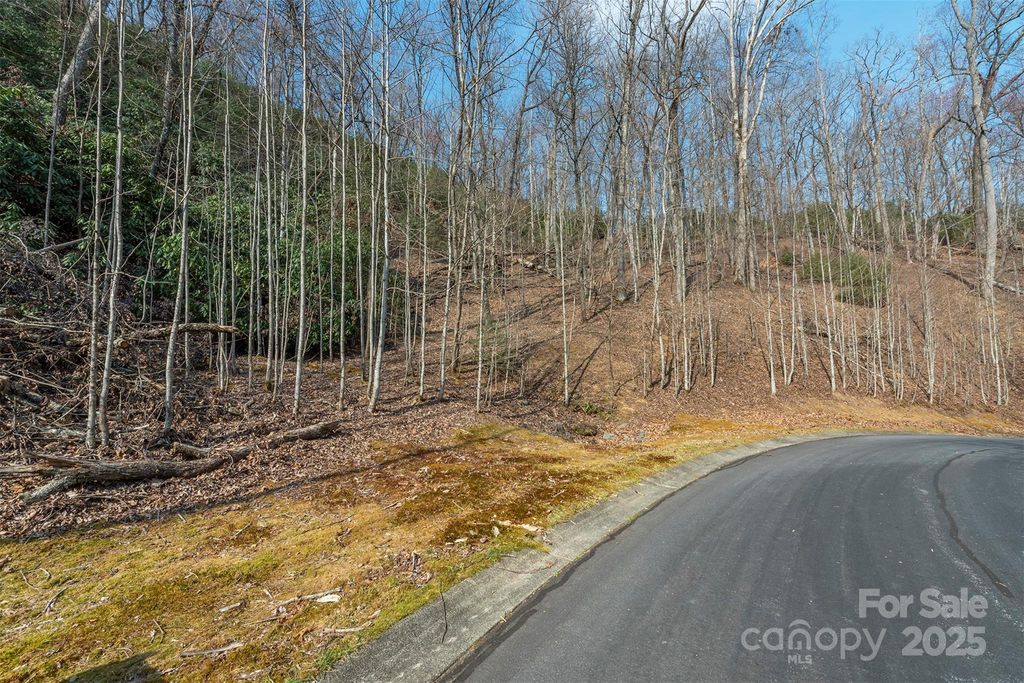 0 Shining Rock Path 12, Horse Shoe, NC 28742