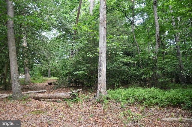 16106 BEALLE HILL RD, Waldorf, MD 20601