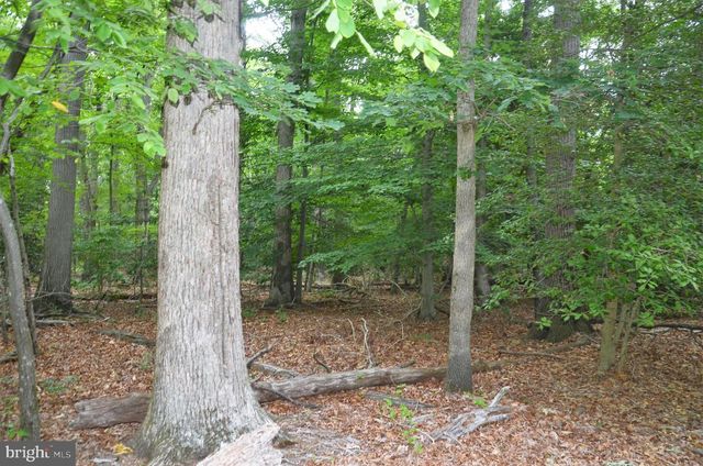 16106 BEALLE HILL RD, Waldorf, MD 20601