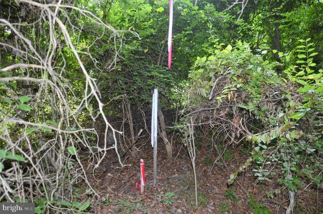 16106 BEALLE HILL RD, Waldorf, MD 20601