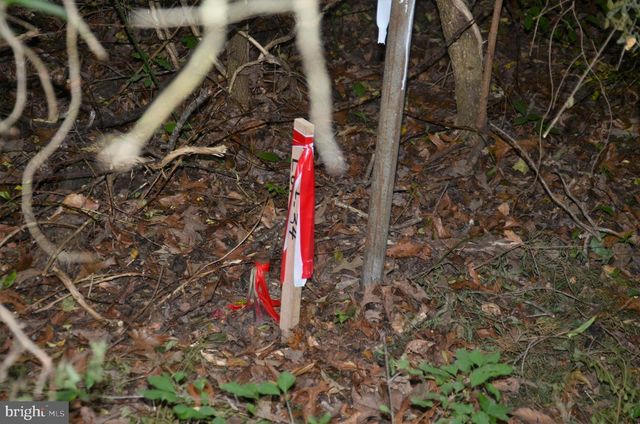 16106 BEALLE HILL RD, Waldorf, MD 20601