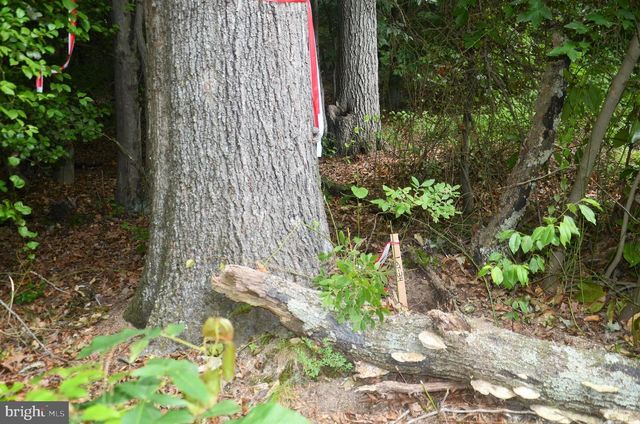 16106 BEALLE HILL RD, Waldorf, MD 20601