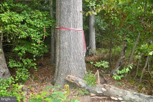 16106 BEALLE HILL RD, Waldorf, MD 20601