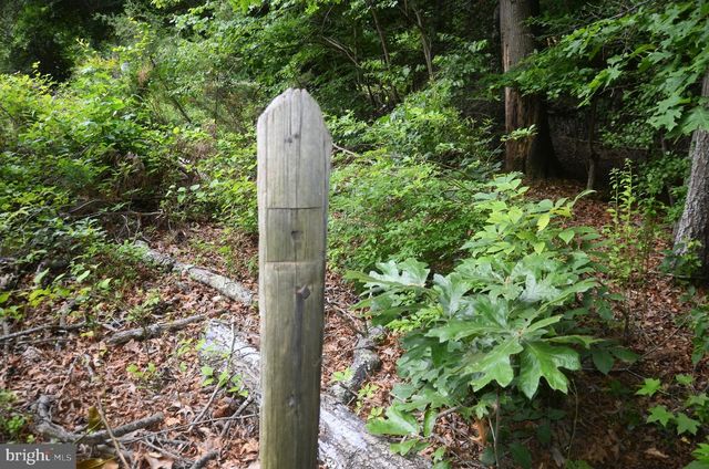 16106 BEALLE HILL RD, Waldorf, MD 20601