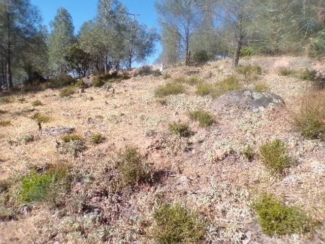 10070 El Capitan, Kelseyville, CA 95451