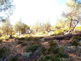 10070 El Capitan, Kelseyville, CA 95451