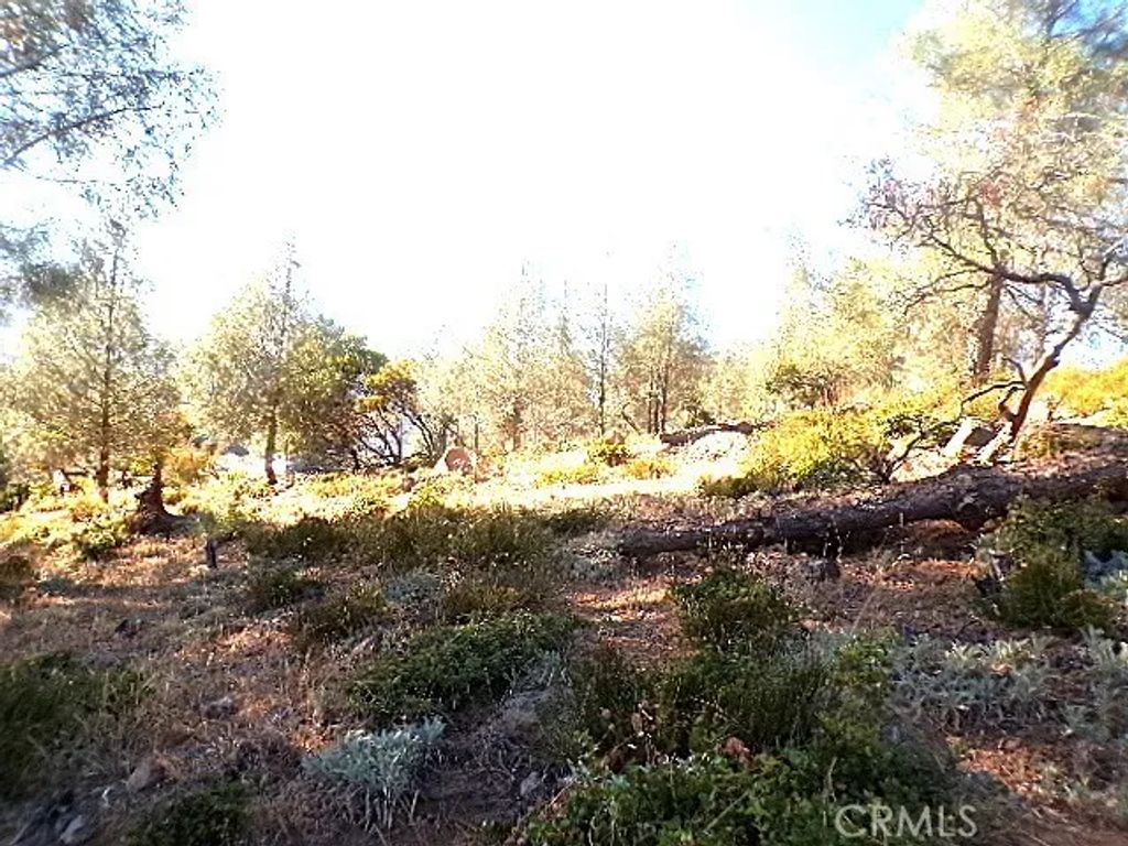 10070 El Capitan, Kelseyville, CA 95451