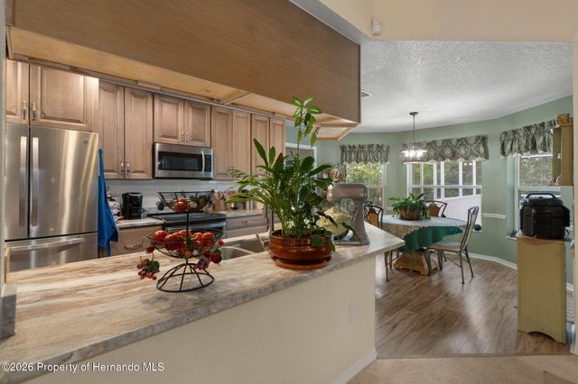 13339 Brewster Road, Spring Hill, FL 34609