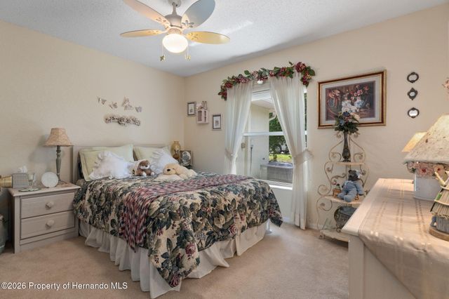 13339 Brewster Road, Spring Hill, FL 34609