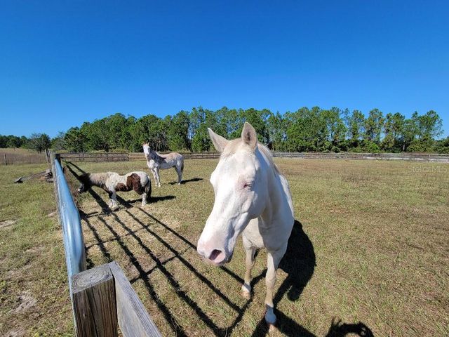 12625 SWEET HILL ROAD, Polk City, FL 33868