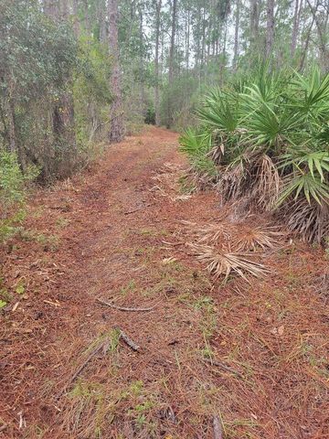 12625 SWEET HILL ROAD, Polk City, FL 33868