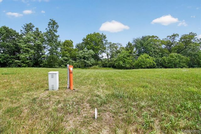 9041 Mirage Lake Drive, Milan, MI 48160