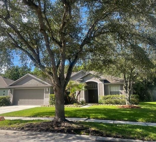 8343 TORRINGTON AVENUE, Tampa, FL 33647