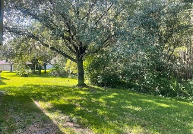 8343 TORRINGTON AVENUE, Tampa, FL 33647