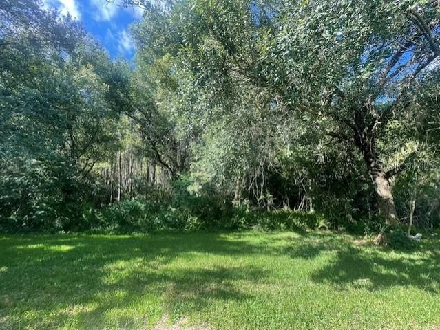 8343 TORRINGTON AVENUE, Tampa, FL 33647