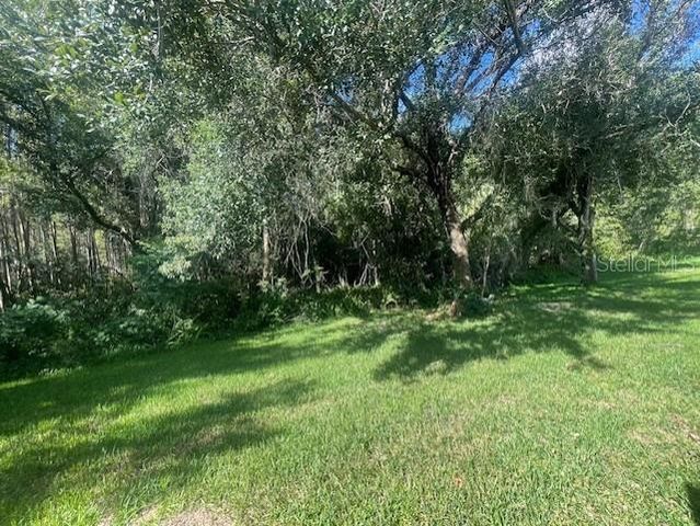 8343 TORRINGTON AVENUE, Tampa, FL 33647