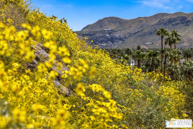 252 Ridge Road, Palm Springs, CA 92264