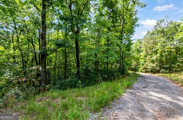 4.69 AC Rockwater Road, Ellijay, GA 30536